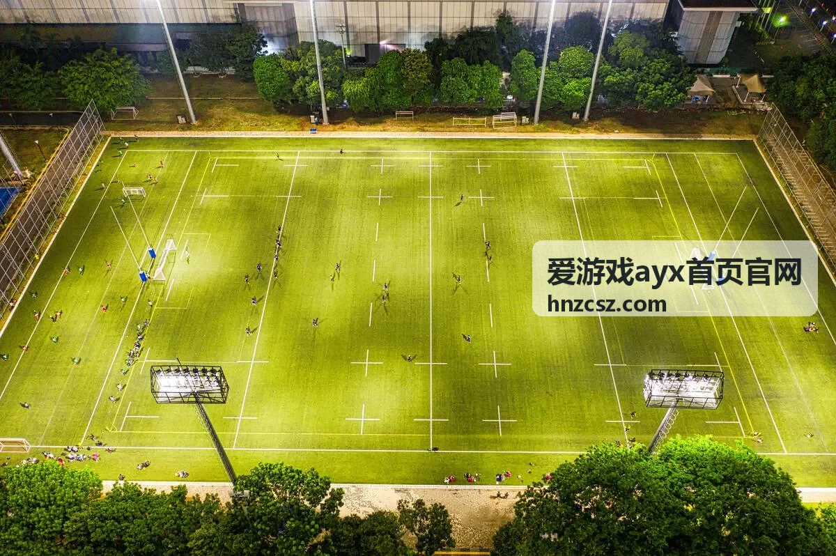 爱游戏ayx首页官网热门游戏库收录的模拟经营作品山河织造