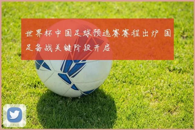 世界杯中国足球预选赛赛程出炉 国足备战关键阶段开启